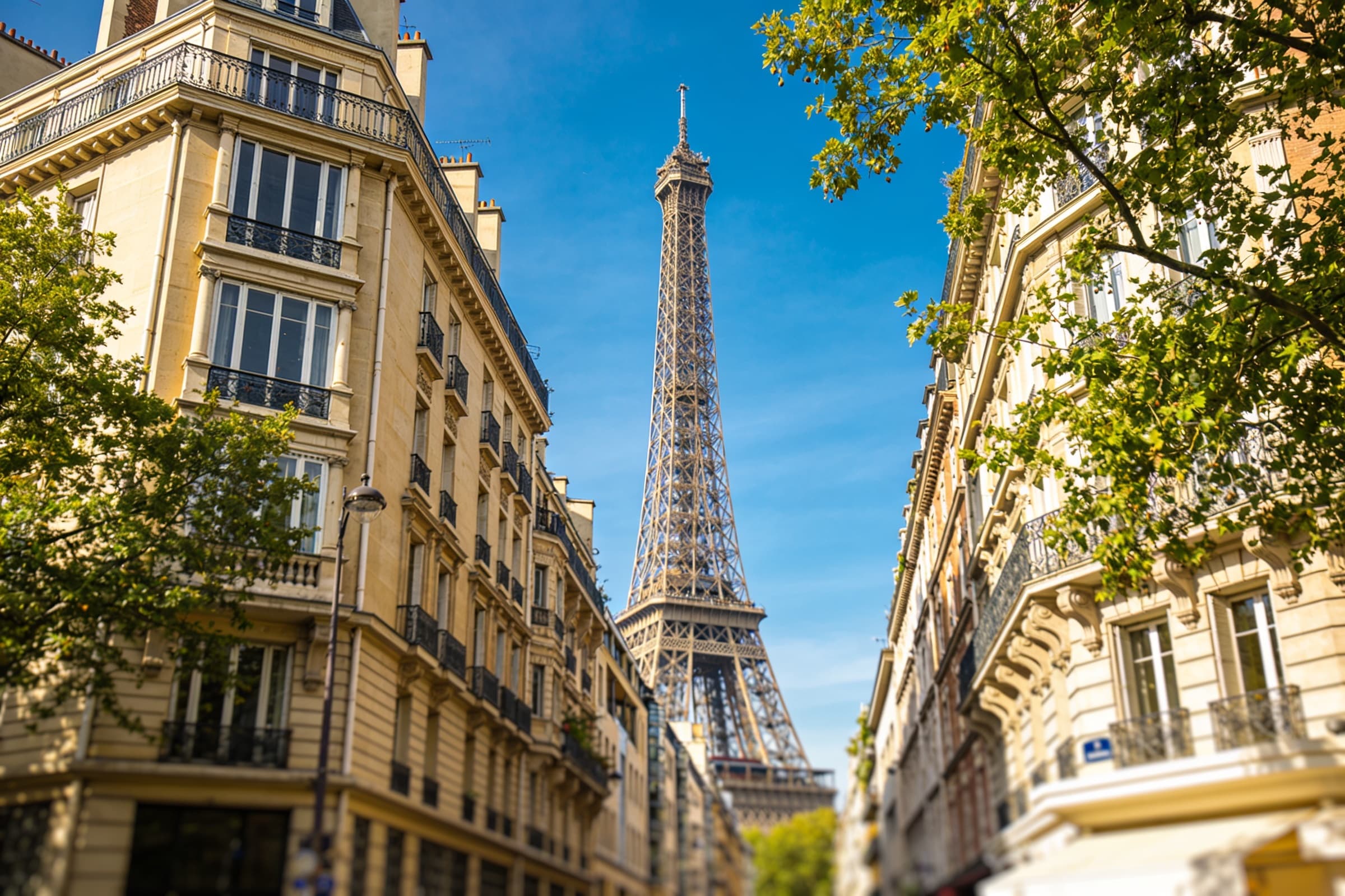 Paris Essentiel en Tesla avec chauffeur privé